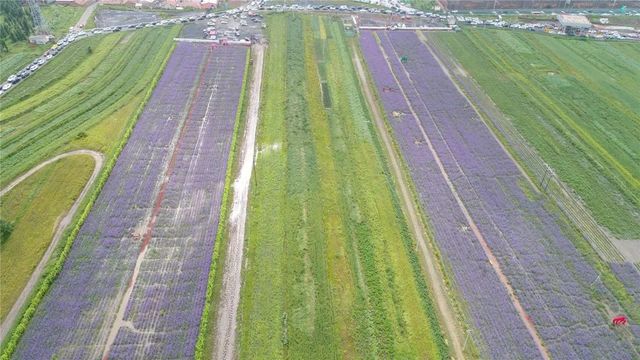 環(huán)美亞西行漫記自駕游